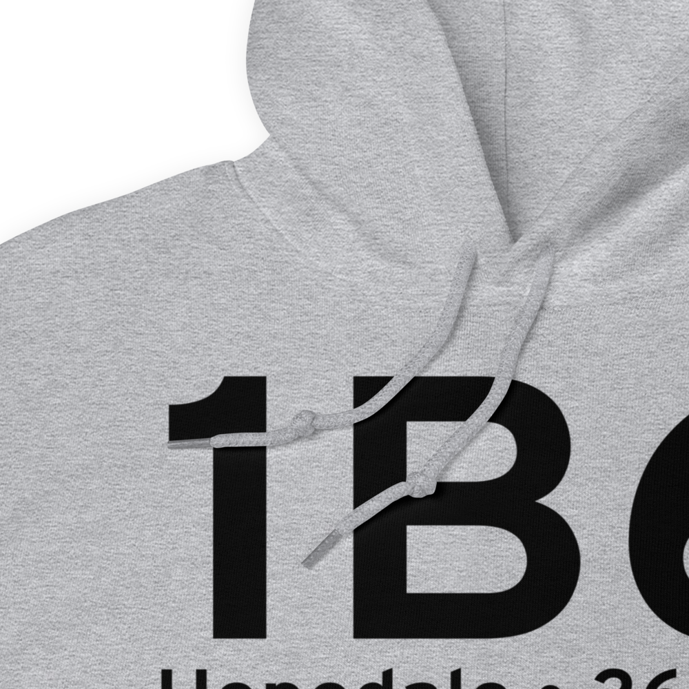 Hopedale (K1B6) Airport Hoodie Sweatshirt 