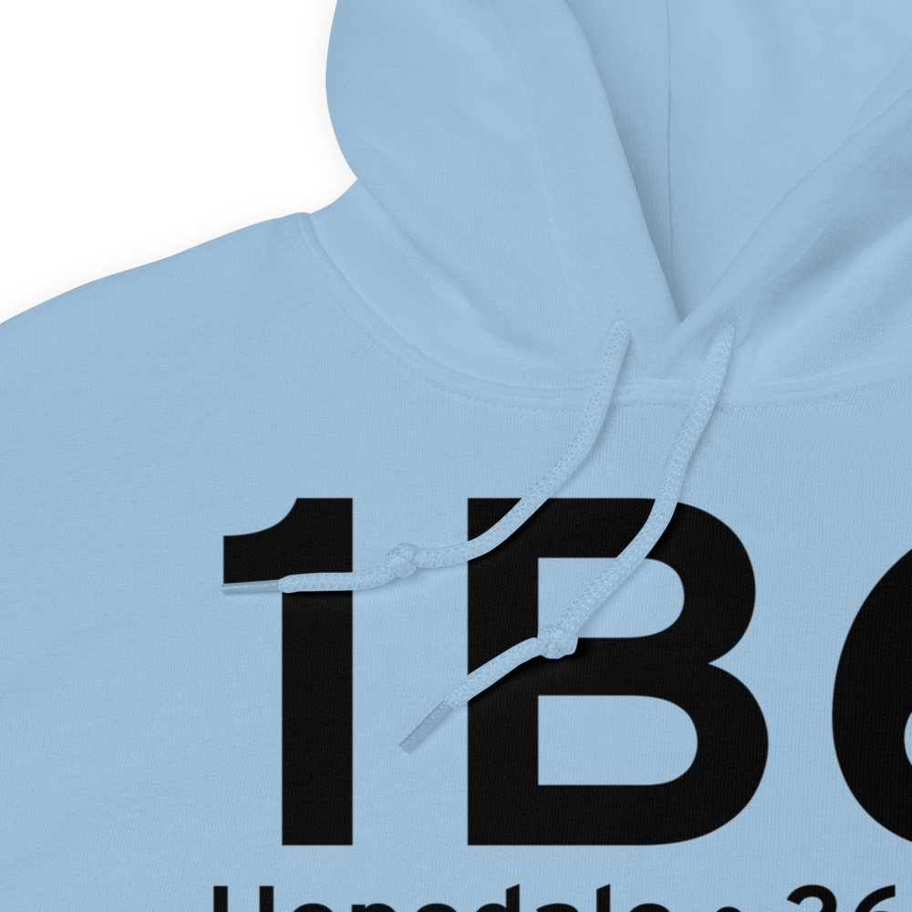 Hopedale (K1B6) Airport Hoodie Sweatshirt 