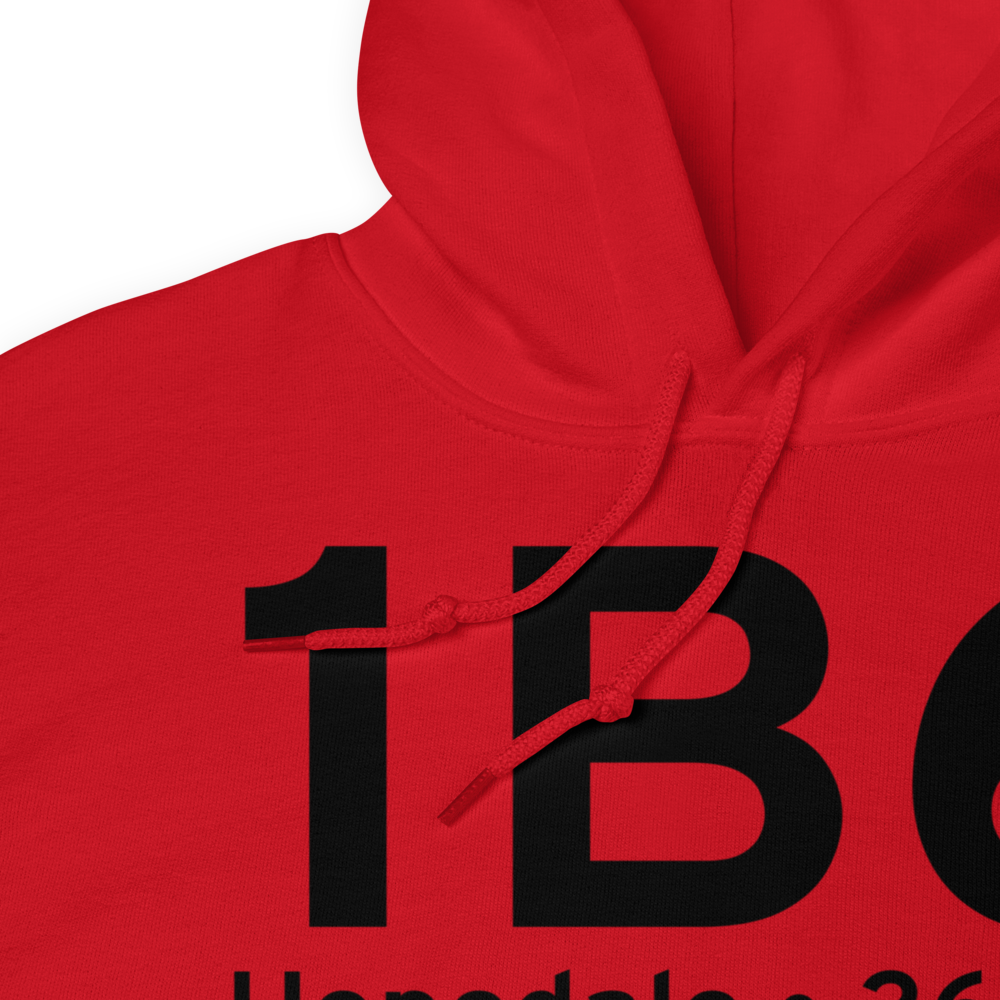 Hopedale (K1B6) Airport Hoodie Sweatshirt 