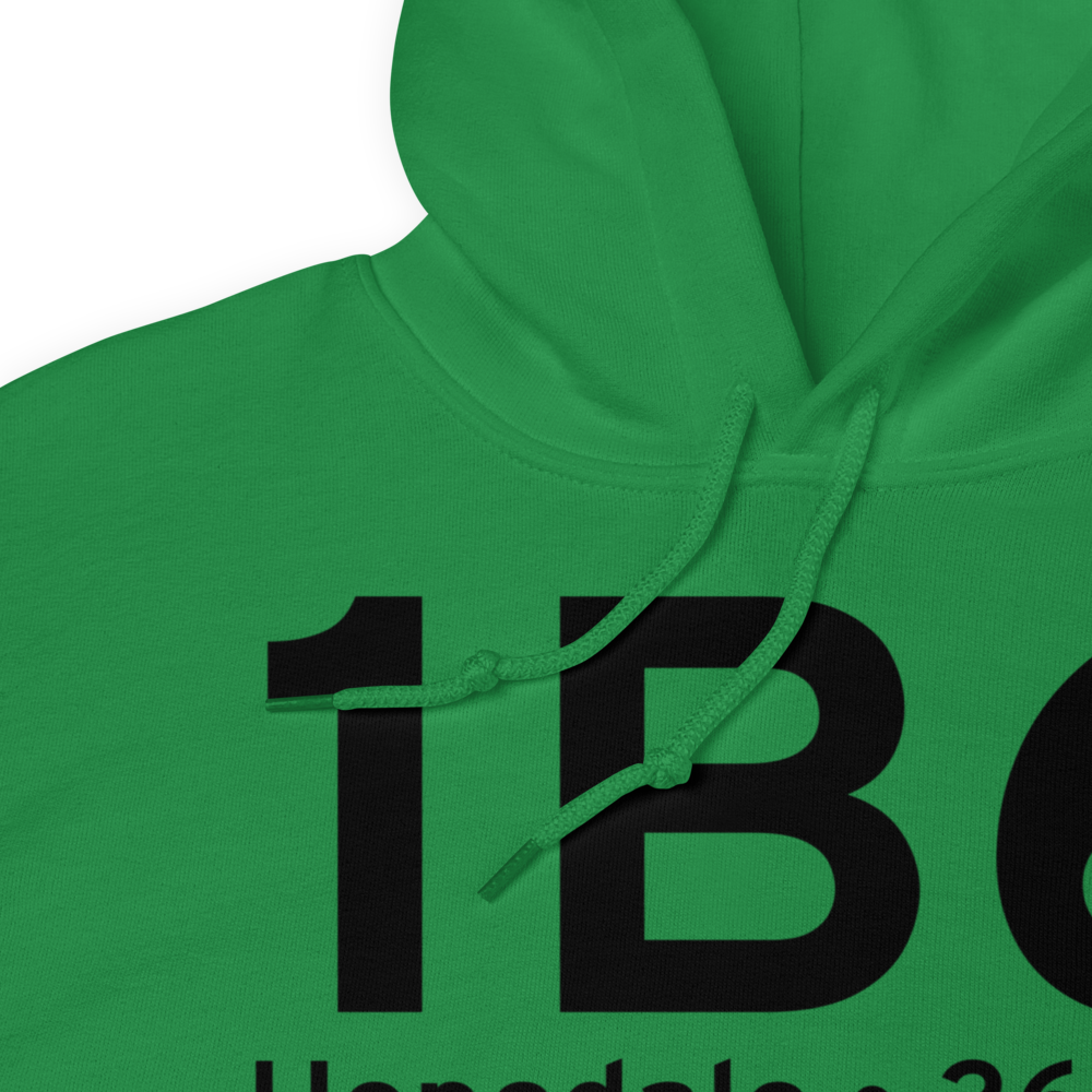 Hopedale (K1B6) Airport Hoodie Sweatshirt 