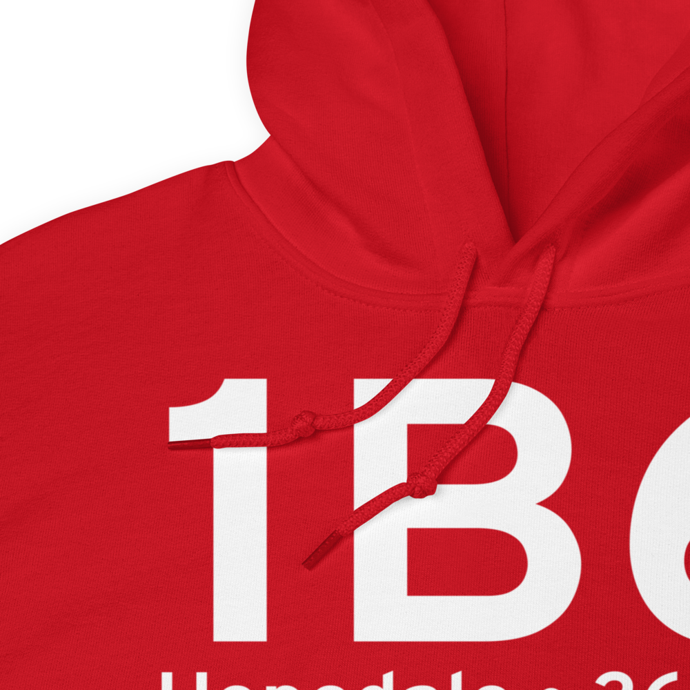 Hopedale (K1B6) Airport Hoodie Sweatshirt 