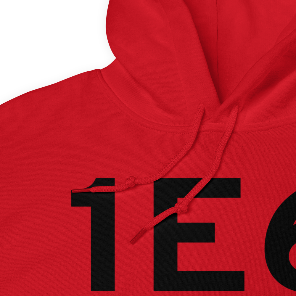 Clarkton (1E6) Airport Hoodie Sweatshirt 