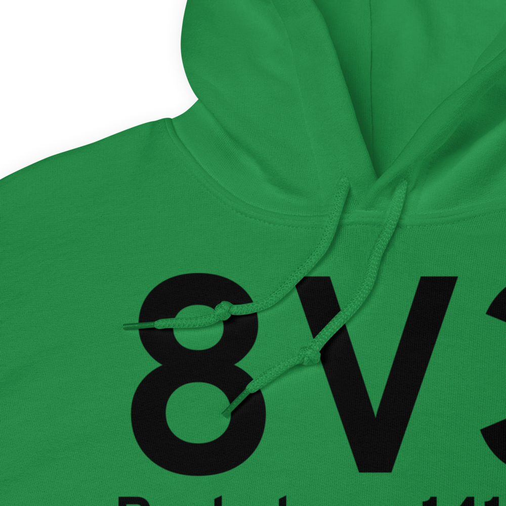 Parkston (K8V3) Airport Hoodie Sweatshirt 