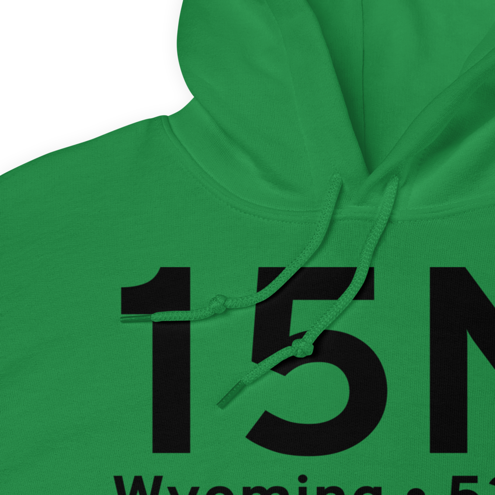Wyoming (15N) Airport Hoodie Sweatshirt 