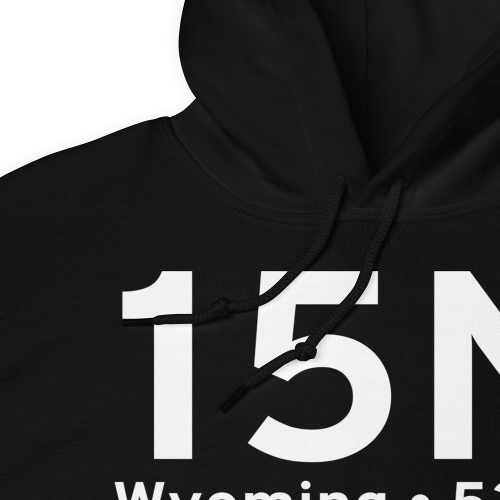 Wyoming (15N) Airport Hoodie Sweatshirt 
