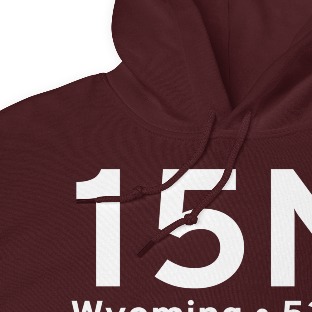 Wyoming (15N) Airport Hoodie Sweatshirt 