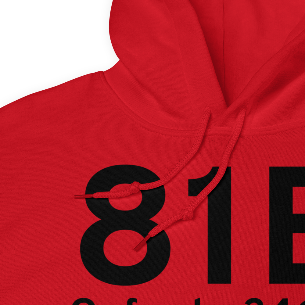 Oxford (K81B) Airport Hoodie Sweatshirt 