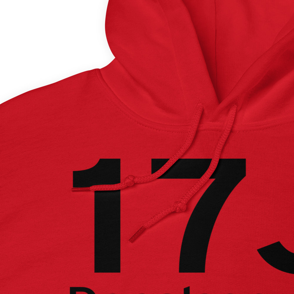 Donalsonville (K17J) Airport Hoodie Sweatshirt 