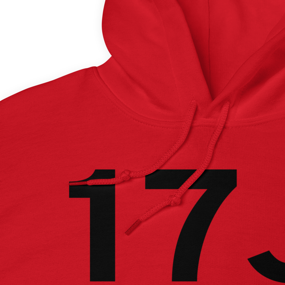 Donalsonville (K17J) Airport Hoodie Sweatshirt 