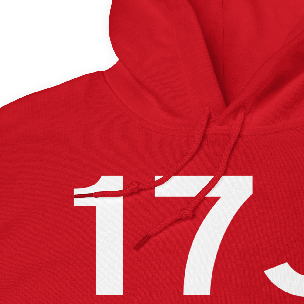 Donalsonville (K17J) Airport Hoodie Sweatshirt 