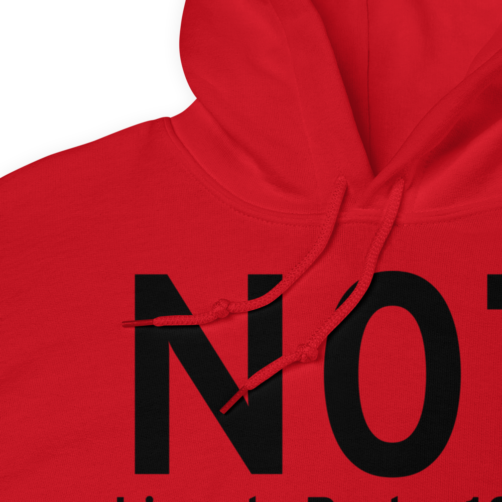 Lincoln Park (N07) Airport Hoodie Sweatshirt 