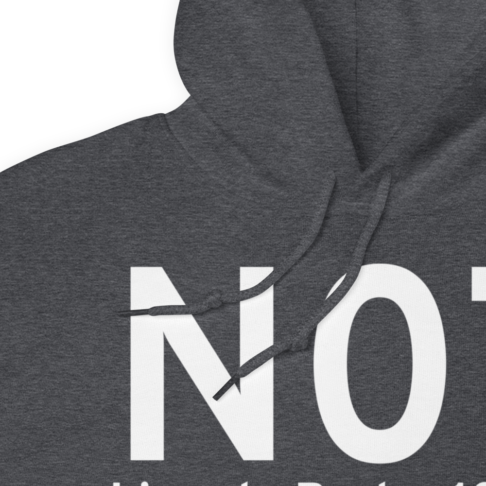 Lincoln Park (N07) Airport Hoodie Sweatshirt 