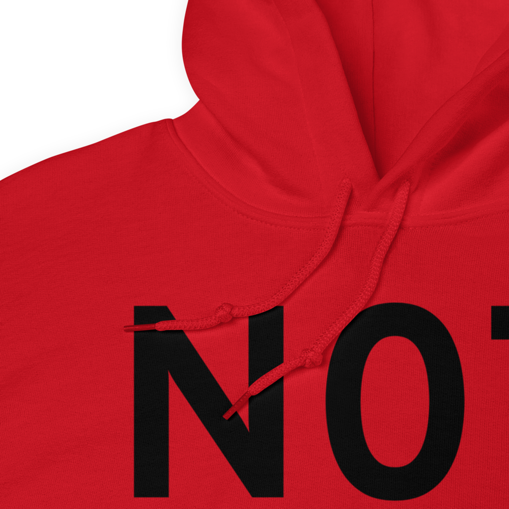 Lincoln Park (N07) Airport Hoodie Sweatshirt 