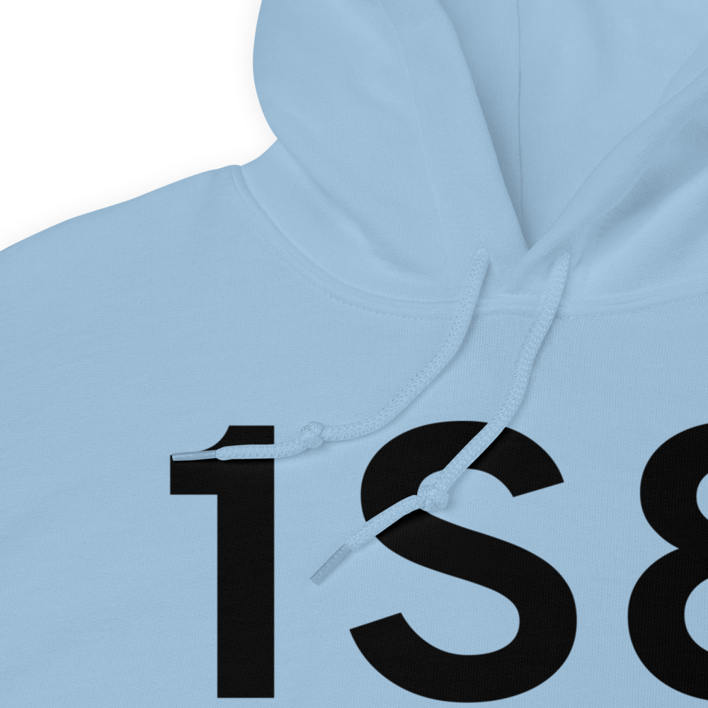 Arlington (1S8) Airport Hoodie Sweatshirt 
