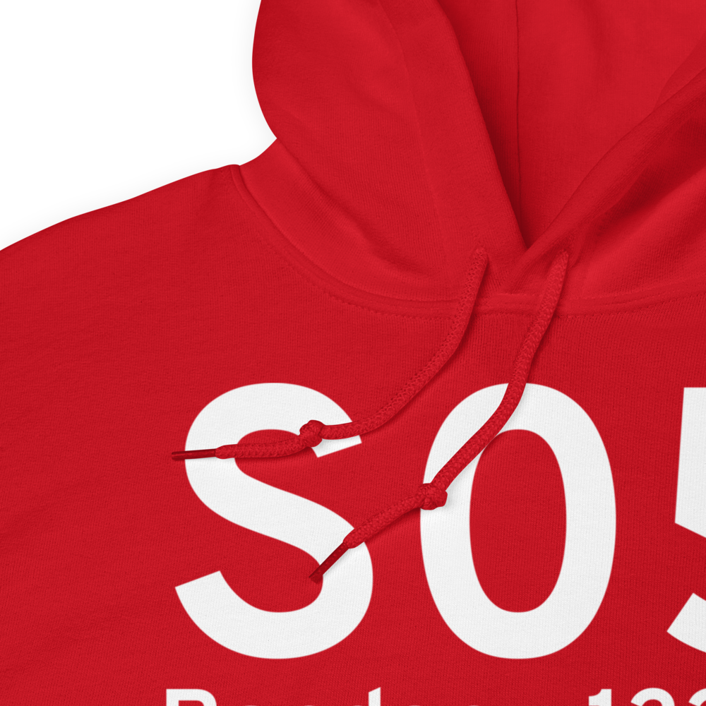 Bandon (KS05) Airport Hoodie Sweatshirt 