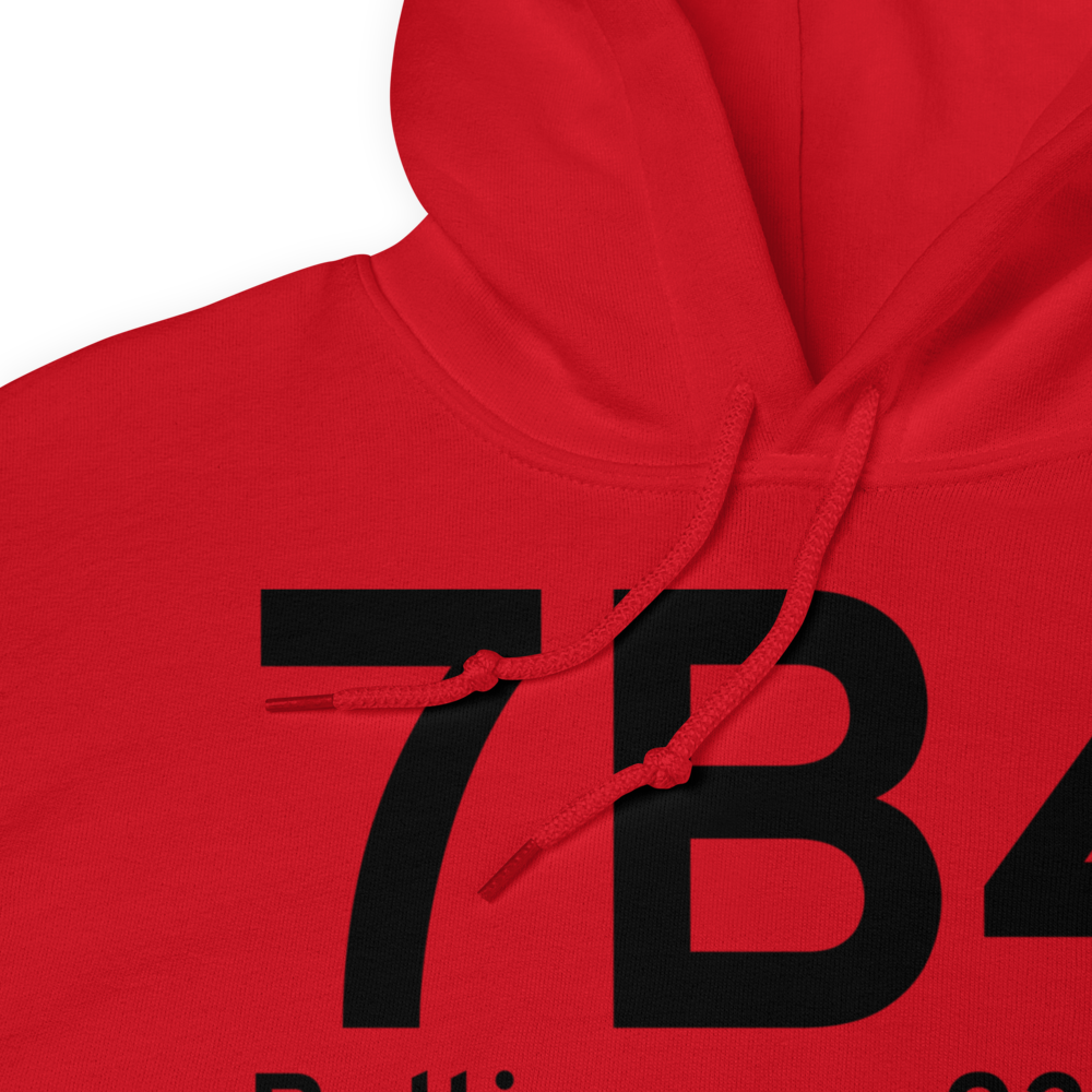 Baltimore (7B4) Airport Hoodie Sweatshirt 