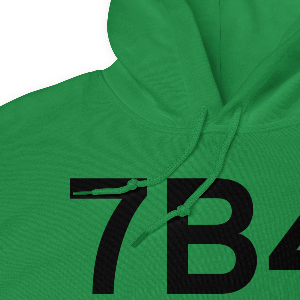 Baltimore (7B4) Airport Hoodie Sweatshirt 