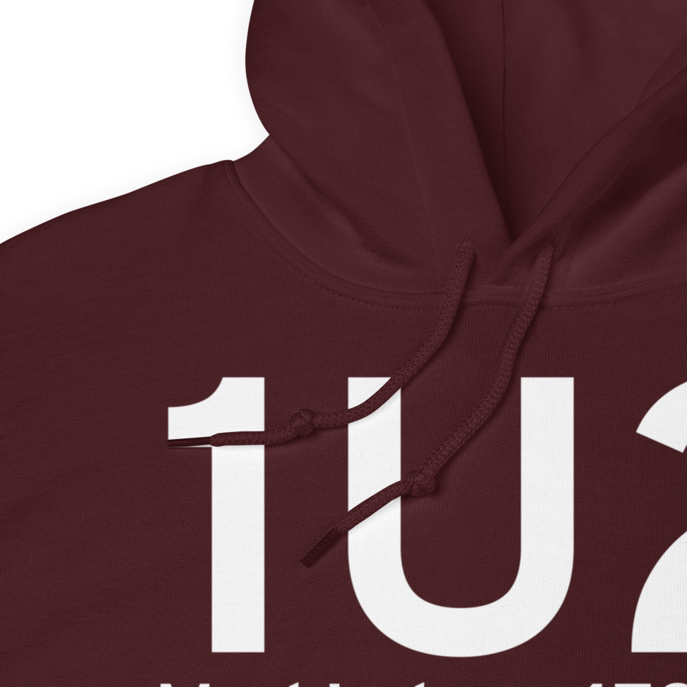 Mud Lake (K1U2) Airport Hoodie Sweatshirt 