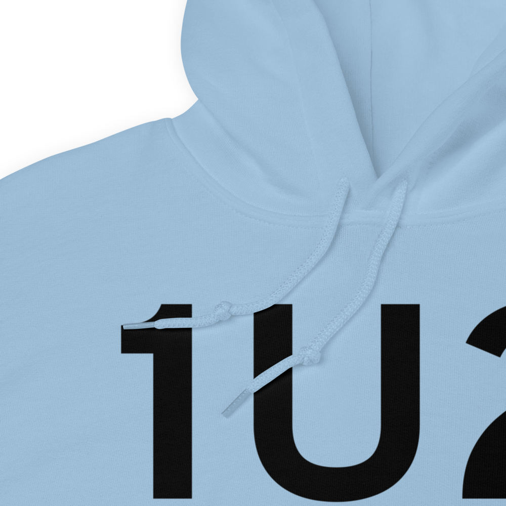 Mud Lake (K1U2) Airport Hoodie Sweatshirt 