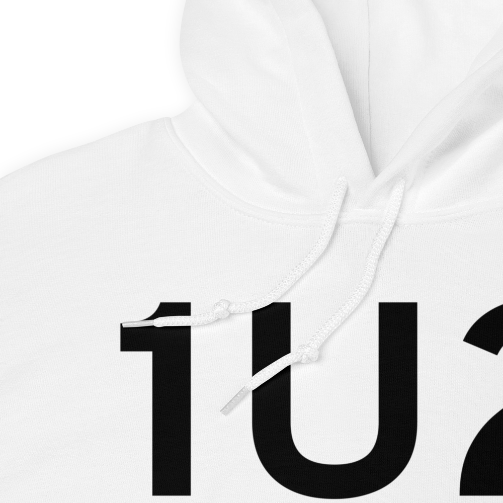 Mud Lake (K1U2) Airport Hoodie Sweatshirt 