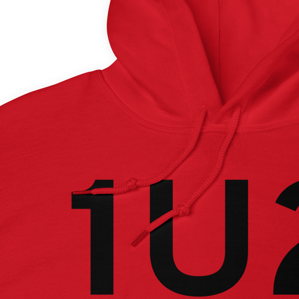 Mud Lake (K1U2) Airport Hoodie Sweatshirt 