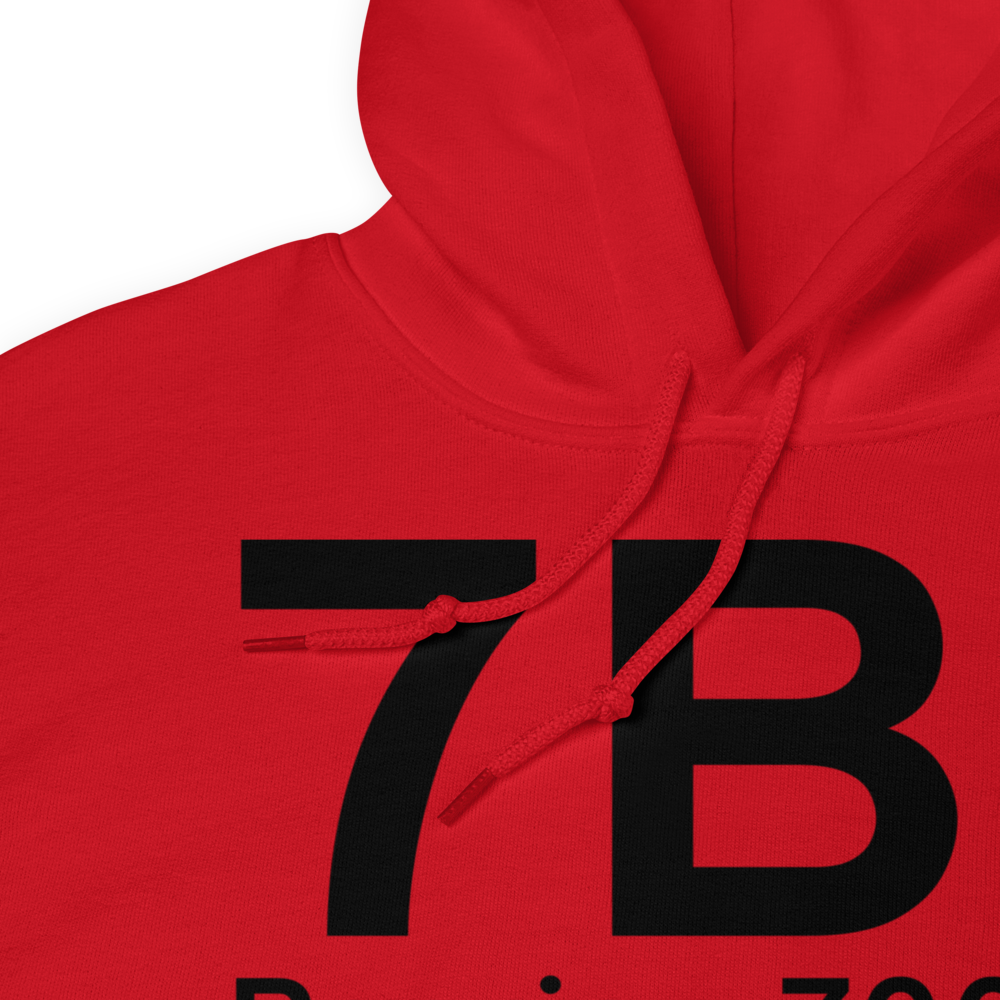 Peoria (7B1) Airport Hoodie Sweatshirt 