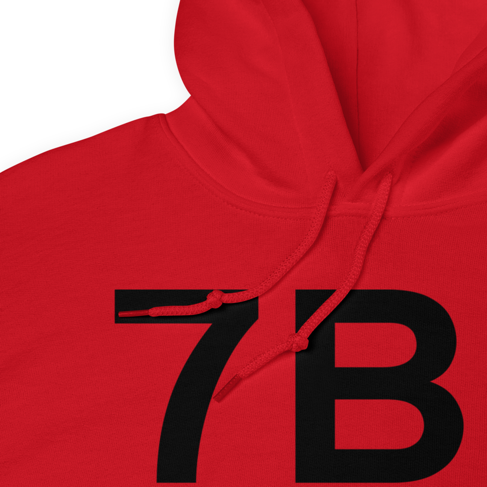 Peoria (7B1) Airport Hoodie Sweatshirt 