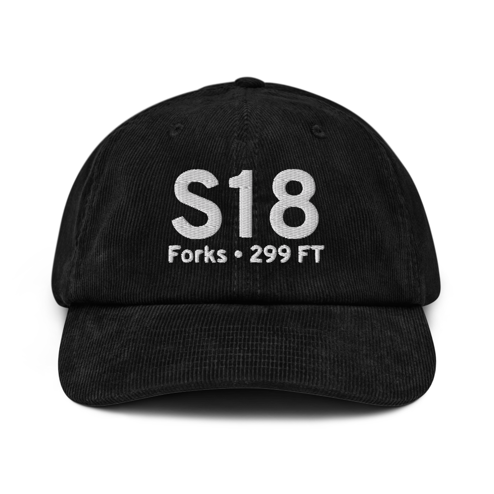 Forks (S18) Airport Hat 