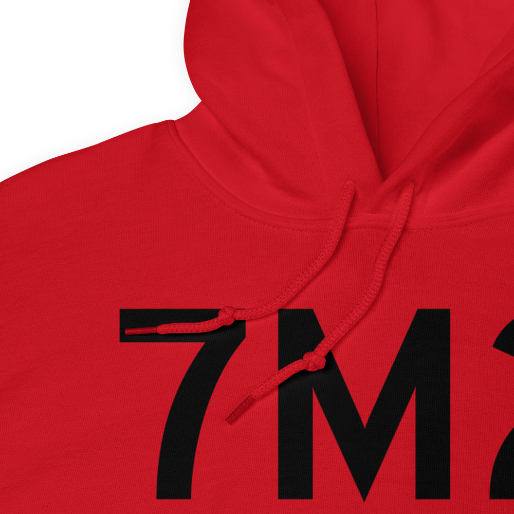 Mountain View (K7M2) Airport Hoodie Sweatshirt 