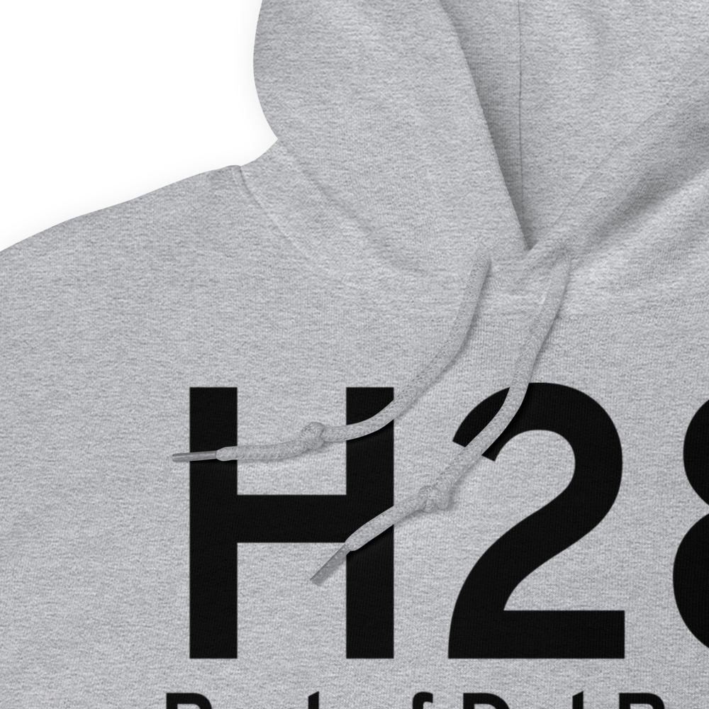 Port of Del Bonita (H28) Airport Hoodie Sweatshirt 