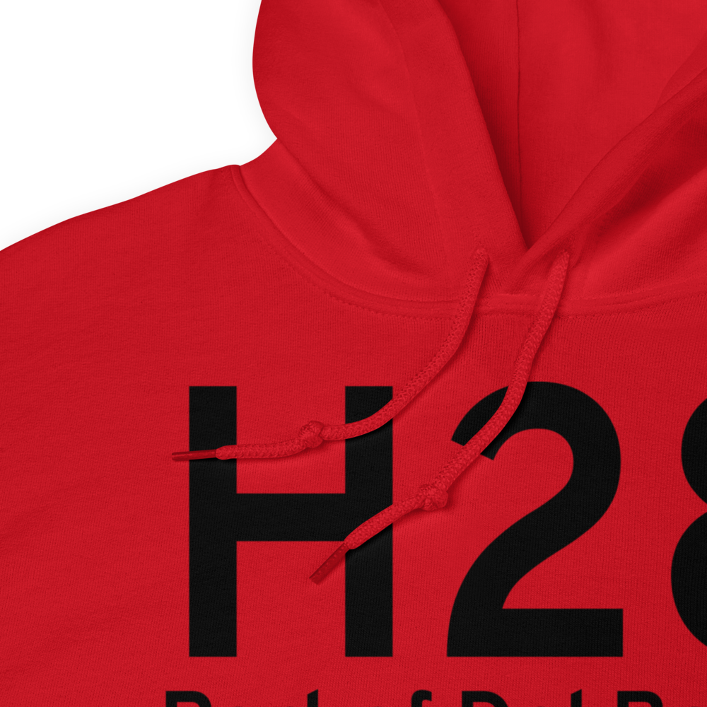 Port of Del Bonita (H28) Airport Hoodie Sweatshirt 