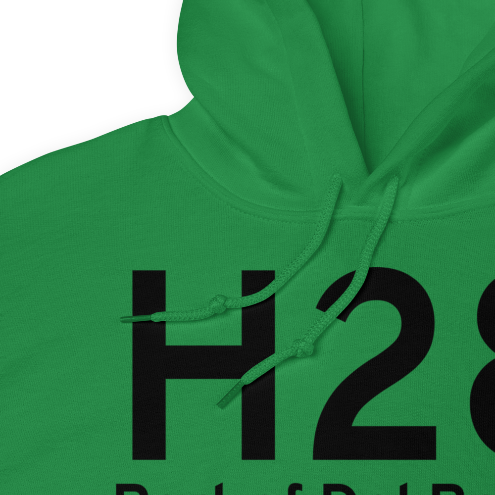 Port of Del Bonita (H28) Airport Hoodie Sweatshirt 