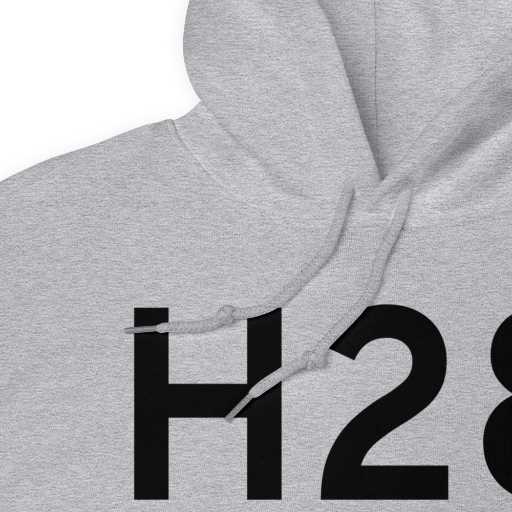 Port of Del Bonita (H28) Airport Hoodie Sweatshirt 