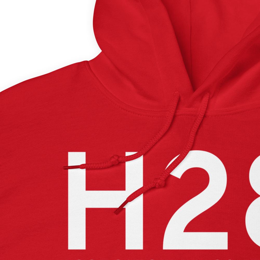 Port of Del Bonita (H28) Airport Hoodie Sweatshirt 