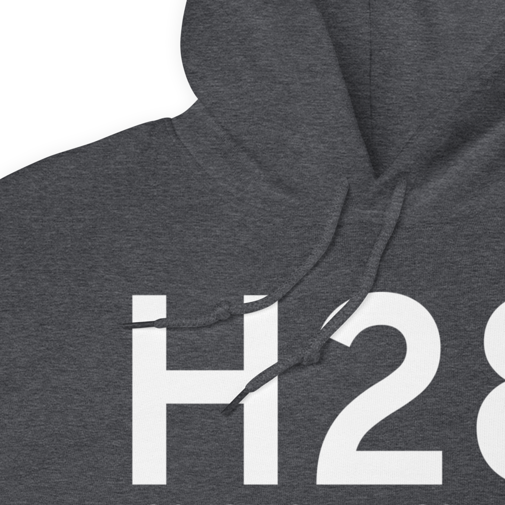 Port of Del Bonita (H28) Airport Hoodie Sweatshirt 