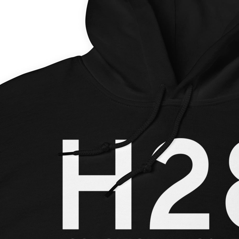 Port of Del Bonita (H28) Airport Hoodie Sweatshirt 