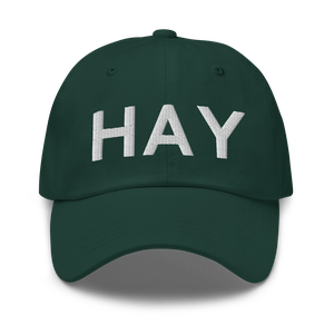 Haycock (HAY) Airport Hat