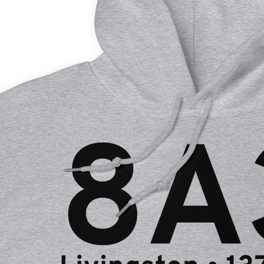 Livingston (K8A3) Airport Hoodie Sweatshirt 