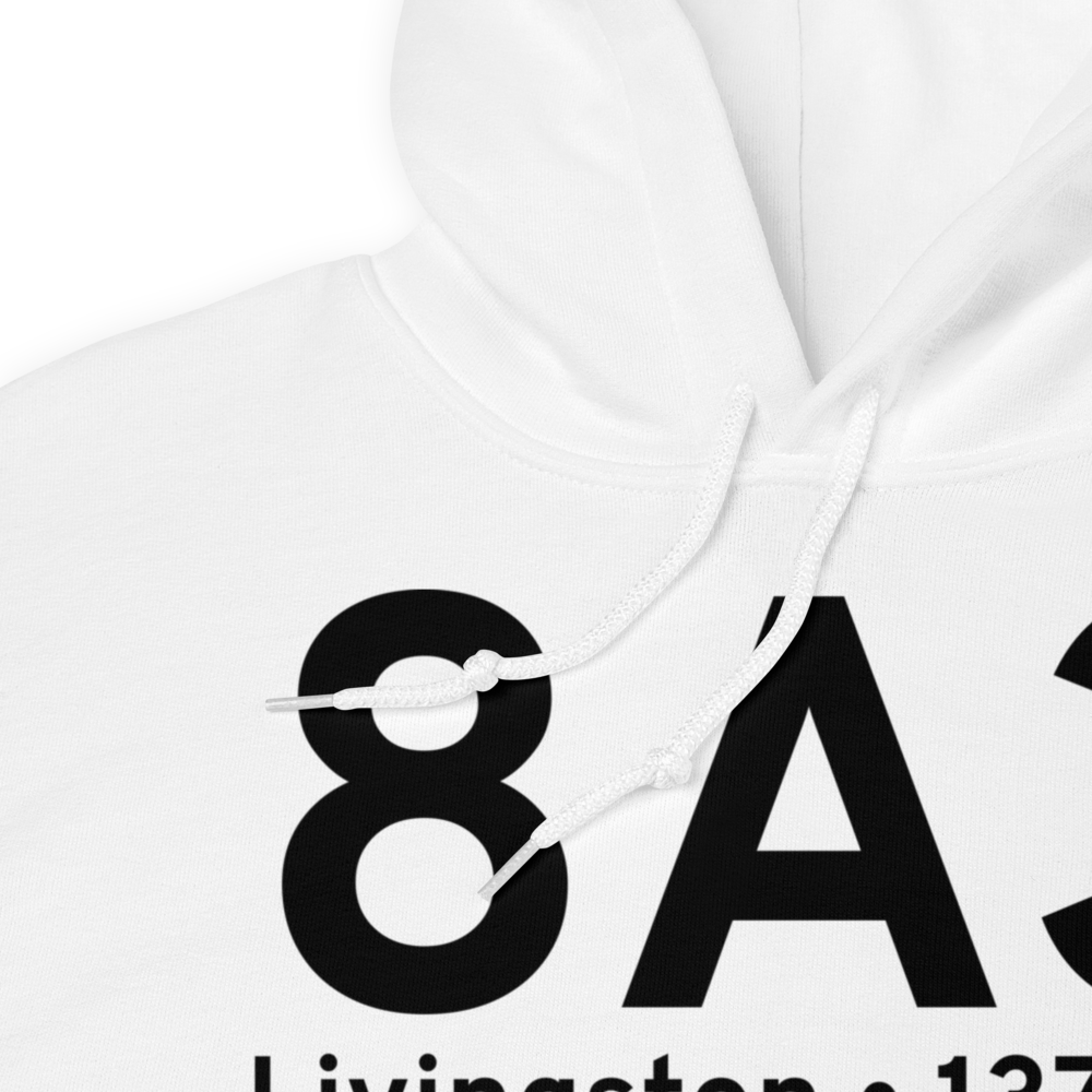 Livingston (K8A3) Airport Hoodie Sweatshirt 