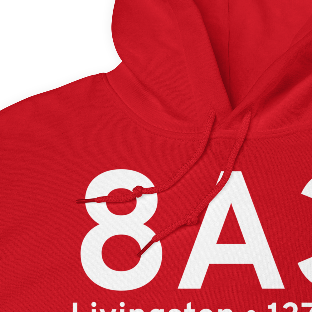 Livingston (K8A3) Airport Hoodie Sweatshirt 