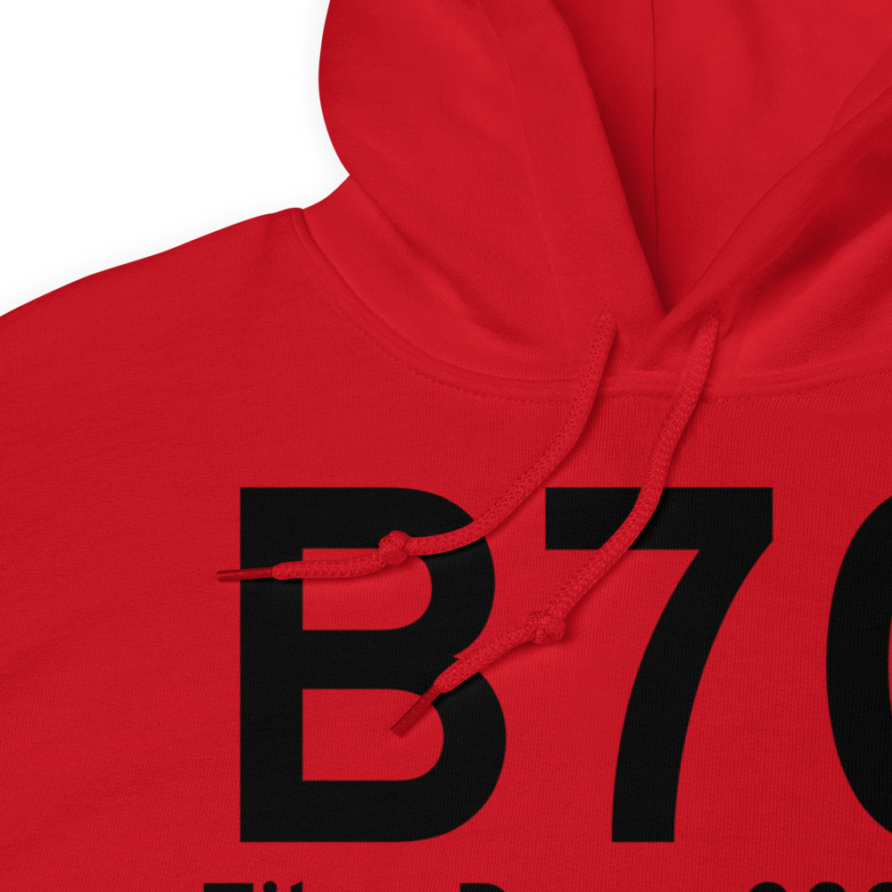 Tiber Dam (B70) Airport Hoodie Sweatshirt 