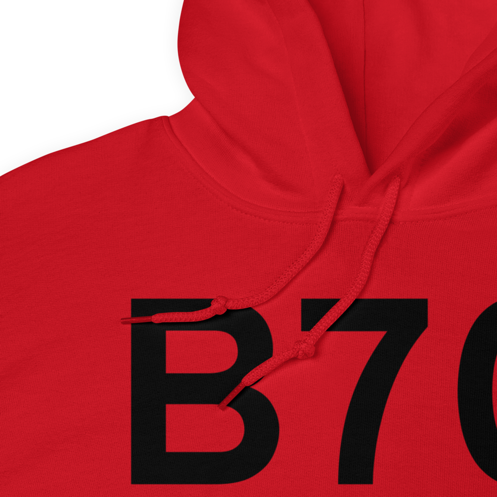 Tiber Dam (B70) Airport Hoodie Sweatshirt 