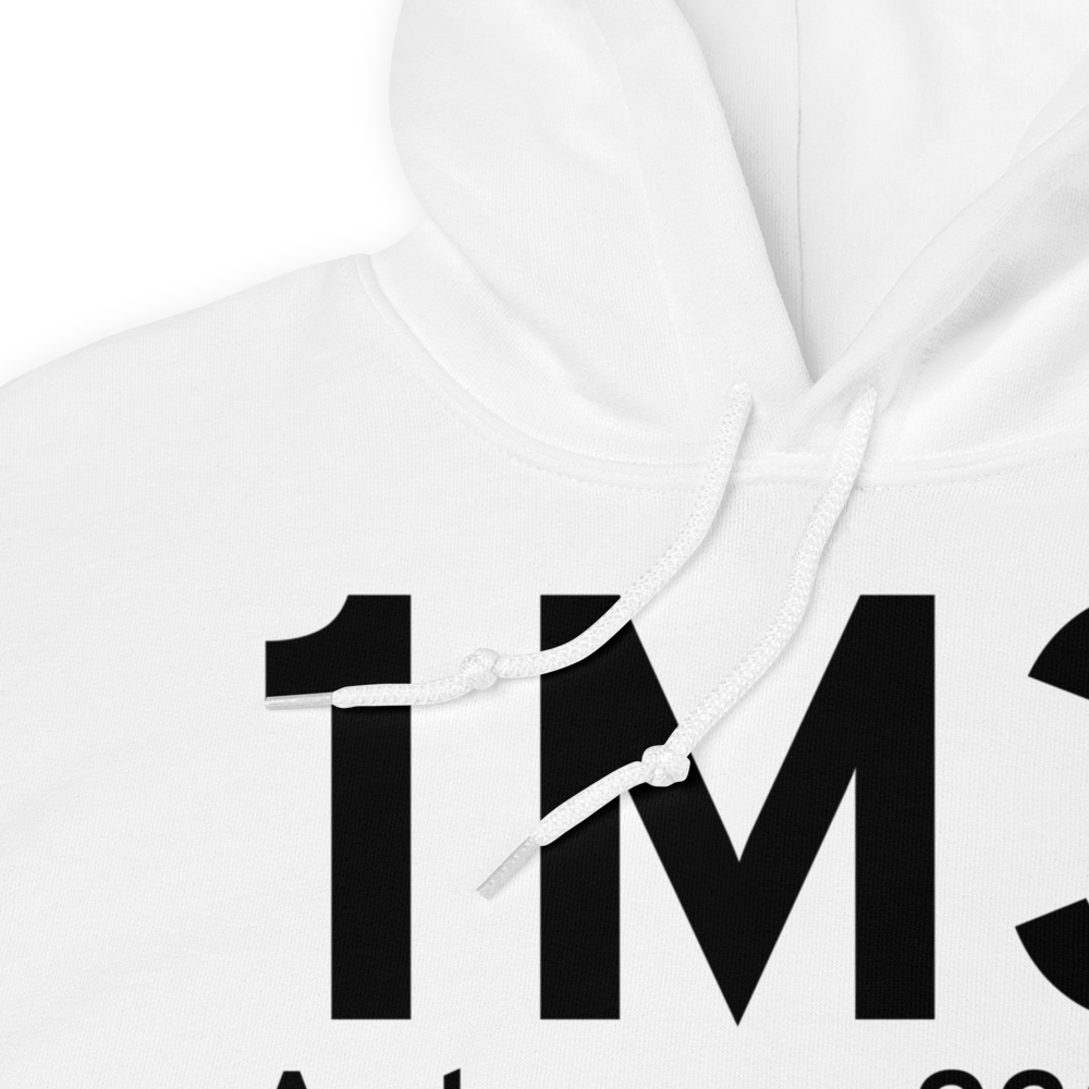 Ardmore (1M3) Airport Hoodie Sweatshirt 