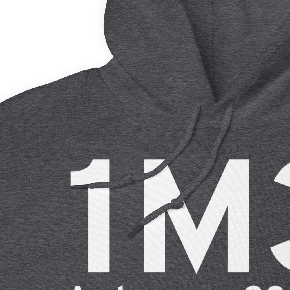 Ardmore (1M3) Airport Hoodie Sweatshirt 