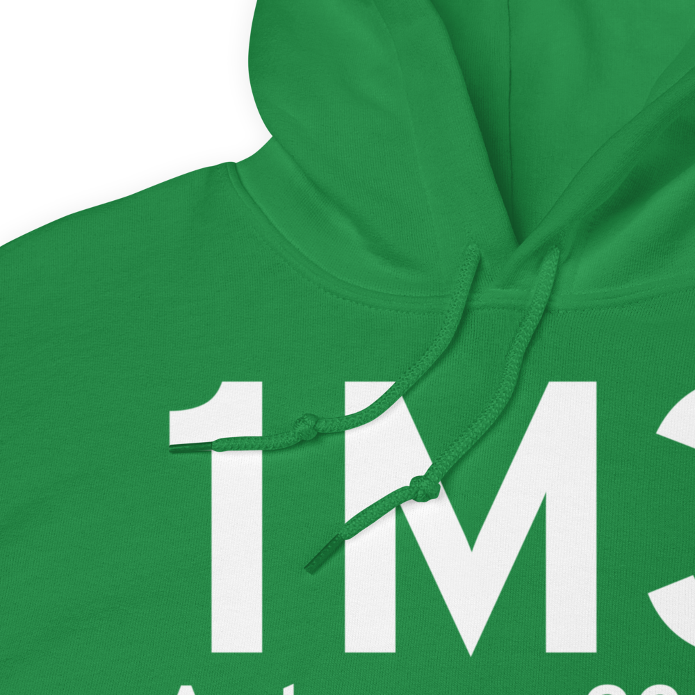 Ardmore (1M3) Airport Hoodie Sweatshirt 