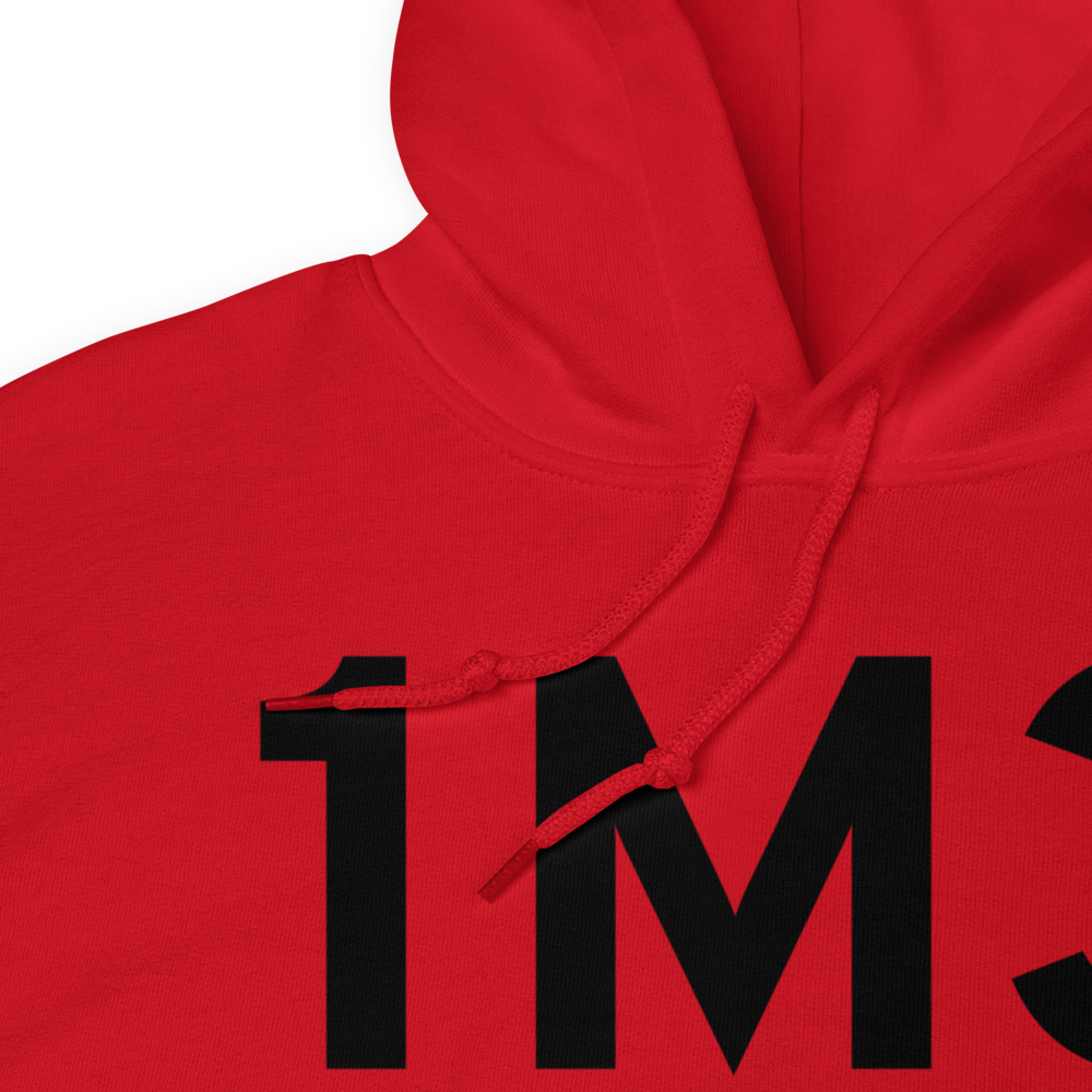 Ardmore (1M3) Airport Hoodie Sweatshirt 