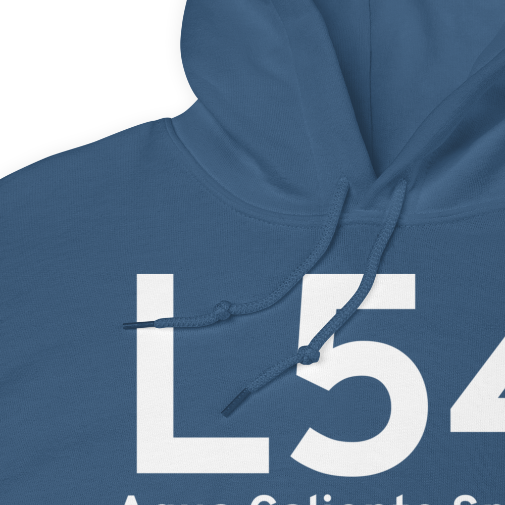 Agua Caliente Springs (L54) Airport Hoodie Sweatshirt 