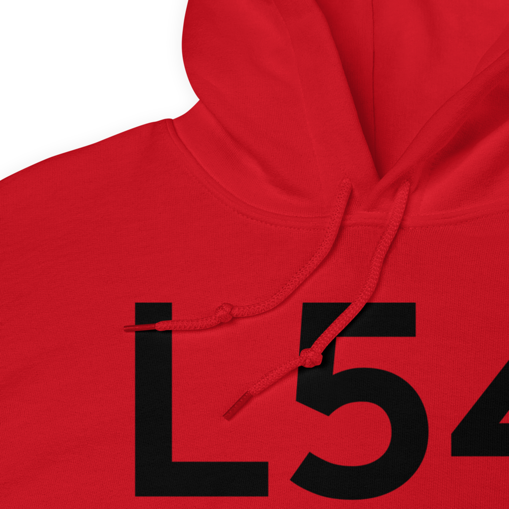 Agua Caliente Springs (L54) Airport Hoodie Sweatshirt 