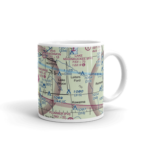 Arens Field (RWN) VFR Sectional  Mug