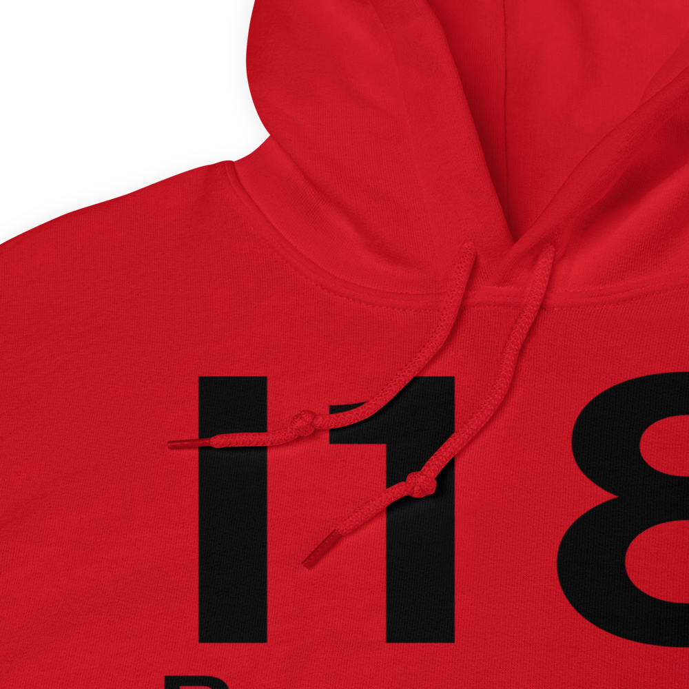 Ravenswood (KI18) Airport Hoodie Sweatshirt 